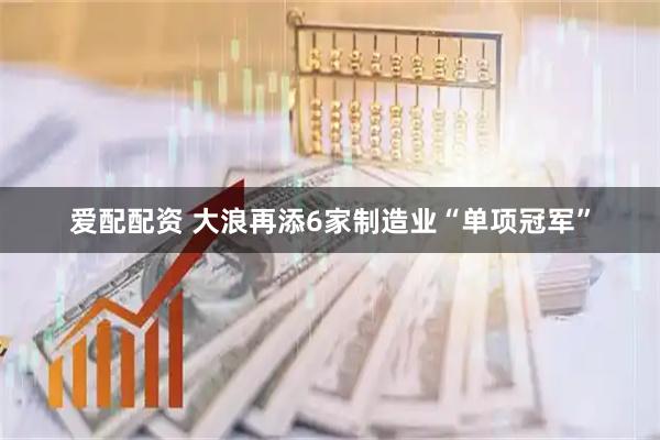 爱配配资 大浪再添6家制造业“单项冠军”