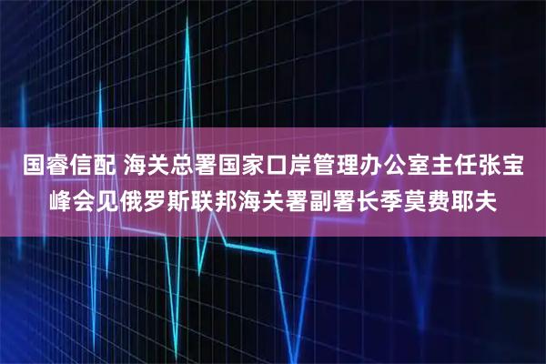 国睿信配 海关总署国家口岸管理办公室主任张宝峰会见俄罗斯联邦海关署副署长季莫费耶夫