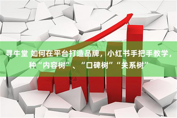 寻牛堂 如何在平台打造品牌，小红书手把手教学，种“内容树”、“口碑树”“关系树”