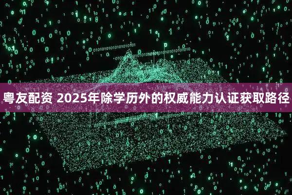 粤友配资 2025年除学历外的权威能力认证获取路径