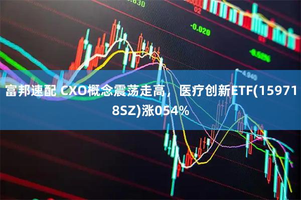 富邦速配 CXO概念震荡走高，医疗创新ETF(159718SZ)涨054%